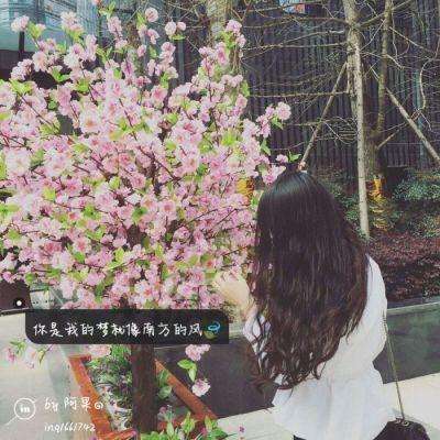 ng体育电子游戏手机app下载截图